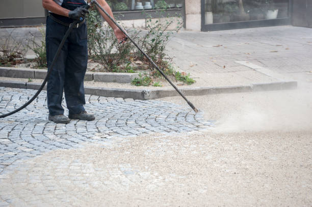 Best Animal Enclosure Cleaning  in Bay Minette, AL